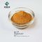 Extrait naturel Salvianolic B acide CAS 121521-90-2 d'usine