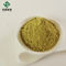 Extrait acide en vrac CAS 77-52-1 de feuille de Loquat d'extrait d'Ursolic
