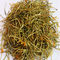 Poudre acide chlorogénique CAS 327-97-9 de Honeysuckle Flower Extract Powder 15%
