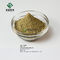 Poudre jaune-clair 25% CAS 77-52-1 d'usine d'extrait acide naturel d'Ursolic