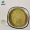 Le cognassier du Japon de Sophora de la rutine Nf11 de grande pureté extrait l'anti antioxydant inflammatoire