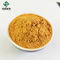 Honeysuckle Flower Extract acide chlorogénique CAS 327-97-9