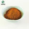 Tanshinone IIA 0,3% Salvia Extract Powder Salvianolic Acid B 6%