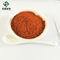 Grande pureté Salvia Miltiorrhiza Extract Tanshinone IIA CAS 568-72-9