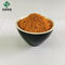 Catégorie rouge de médecine de Salvia Extract Salvianolic Acid B 10% de poudre